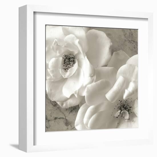 Poppy Study III-Sondra Wampler-Framed Art Print