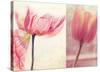 Poppy & Tulip-Myan Soffia-Stretched Canvas