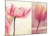 Poppy & Tulip-Myan Soffia-Mounted Photographic Print