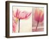 Poppy & Tulip-Myan Soffia-Framed Photographic Print