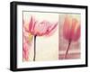 Poppy & Tulip-Myan Soffia-Framed Photographic Print