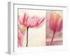 Poppy & Tulip-Myan Soffia-Framed Photographic Print