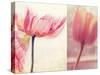 Poppy & Tulip-Myan Soffia-Stretched Canvas