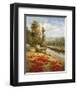 Poppy Vista I-Hulsey-Framed Art Print