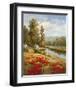 Poppy Vista I-Hulsey-Framed Art Print