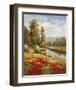 Poppy Vista I-Hulsey-Framed Art Print