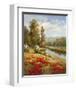 Poppy Vista I-Hulsey-Framed Art Print