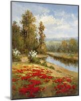 Poppy Vista I-Hulsey-Mounted Art Print