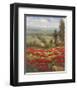 Poppy Vista II-Hulsey-Framed Art Print