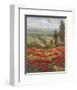 Poppy Vista II-Hulsey-Framed Art Print