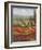 Poppy Vista II-Hulsey-Framed Art Print