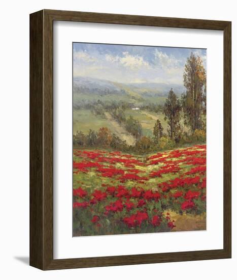 Poppy Vista II-Hulsey-Framed Art Print