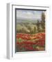 Poppy Vista II-Hulsey-Framed Art Print