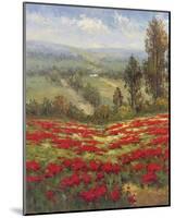 Poppy Vista II-Hulsey-Mounted Art Print