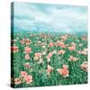 Poppy Waltz-Joseph Eta-Stretched Canvas