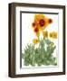 Poppy Whimsy I-Cheryl Baynes-Framed Art Print