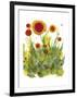 Poppy Whimsy II-Cheryl Baynes-Framed Art Print