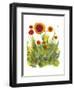 Poppy Whimsy II-Cheryl Baynes-Framed Art Print