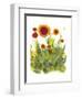 Poppy Whimsy II-Cheryl Baynes-Framed Art Print