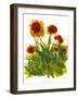 Poppy Whimsy V-Cheryl Baynes-Framed Art Print