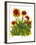 Poppy Whimsy V-Cheryl Baynes-Framed Art Print