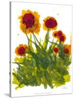 Poppy Whimsy V-Cheryl Baynes-Stretched Canvas