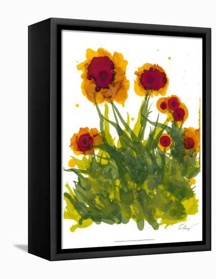 Poppy Whimsy V-Cheryl Baynes-Framed Stretched Canvas