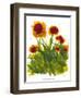 Poppy Whimsy V-Cheryl Baynes-Framed Art Print