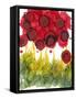 Poppy Whimsy VI-Cheryl Baynes-Framed Stretched Canvas