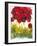 Poppy Whimsy VI-Cheryl Baynes-Framed Art Print