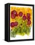 Poppy Whimsy VIII-Cheryl Baynes-Framed Stretched Canvas