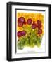 Poppy Whimsy VIII-Cheryl Baynes-Framed Art Print