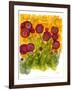 Poppy Whimsy VIII-Cheryl Baynes-Framed Art Print