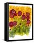 Poppy Whimsy VIII-Cheryl Baynes-Framed Stretched Canvas