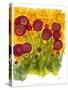 Poppy Whimsy VIII-Cheryl Baynes-Stretched Canvas