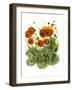 Poppy Whismy VII-Cheryl Baynes-Framed Art Print