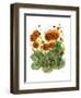 Poppy Whismy VII-Cheryl Baynes-Framed Art Print