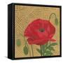 Poppy with Pattern-Kathrine Lovell-Framed Stretched Canvas