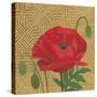 Poppy with Pattern-Kathrine Lovell-Stretched Canvas