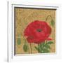 Poppy with Pattern-Kathrine Lovell-Framed Art Print