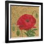 Poppy with Pattern-Kathrine Lovell-Framed Art Print