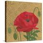 Poppy with Pattern-Kathrine Lovell-Stretched Canvas