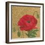 Poppy with Pattern-Kathrine Lovell-Framed Art Print