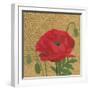 Poppy with Pattern-Kathrine Lovell-Framed Art Print