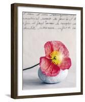 Poppy-Amelie Vuillon-Framed Art Print