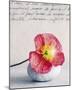 Poppy-Amelie Vuillon-Mounted Art Print