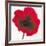 Poppy-Emma Forrester-Framed Giclee Print