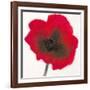 Poppy-Emma Forrester-Framed Giclee Print