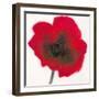 Poppy-Emma Forrester-Framed Giclee Print