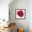 Poppy-Emma Forrester-Framed Giclee Print displayed on a wall